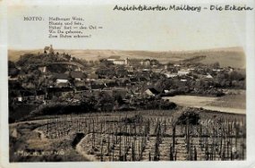 Mailberg Panorama_2 = Mailberg = NÖ Motto: Mailberger Wein, Blumig und fein, Rühm' fort - den Ort - Wo Du geboren, Zum Ruhm erkoren! Jahr: 1936 6 Verlag/Druck: Foto-Technik...